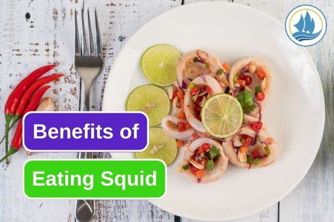 Here Are 5 Health Benefits When You Eating Squid
